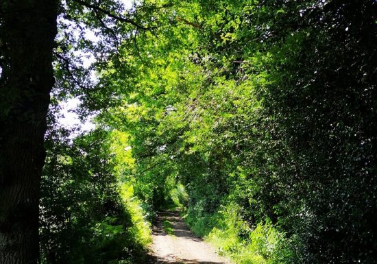 Randonnée « De la Grossière à Tiffauges »