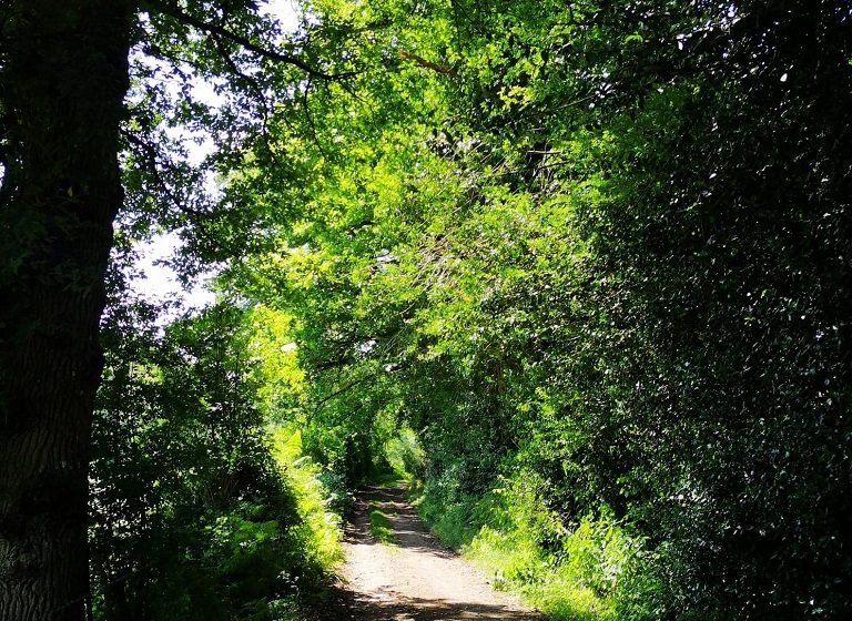 RANDONNÉE « DE LA GROSSIÈRE À TIFFAUGES »