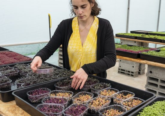 Ferme Micropousse « Il était une graine »