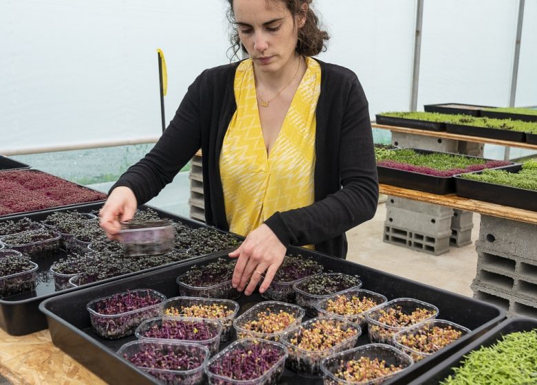 Ferme Micropousse « Il était une graine »