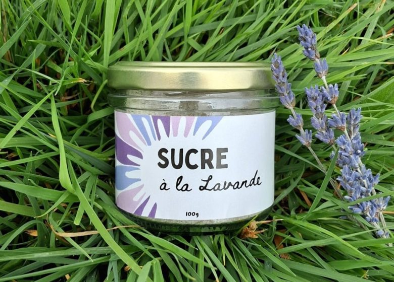 Le simple jardin de Claudine, productrice et créatrice inspirée par les plantes