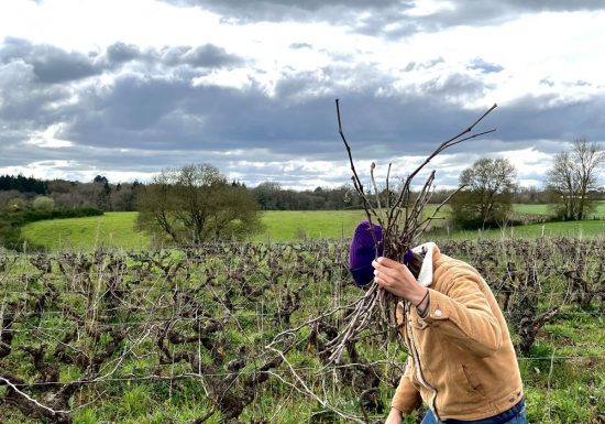 Domaine de l&rsquo;Alliance