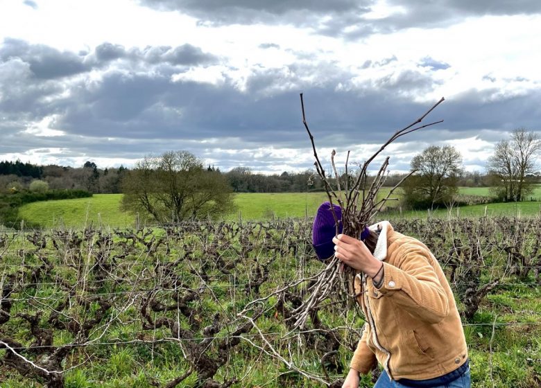 Domaine de l&rsquo;Alliance