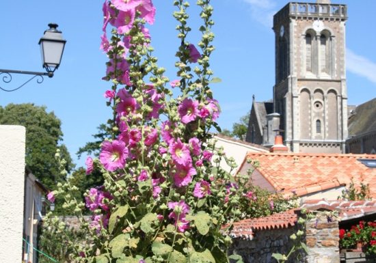 Panorama de la tour de l’église de La Varenne