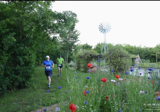 Trail des fours à chaux à Montjean-sur-Loire