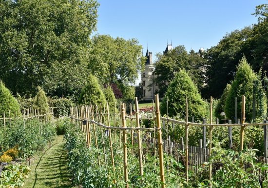 Rendez-vous aux jardins au Château de la Baronnière