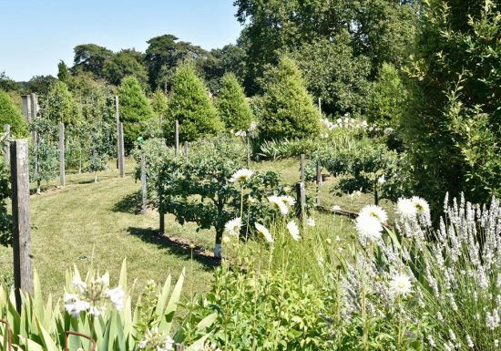 Rendez-vous aux jardins au Château de la Baronnière