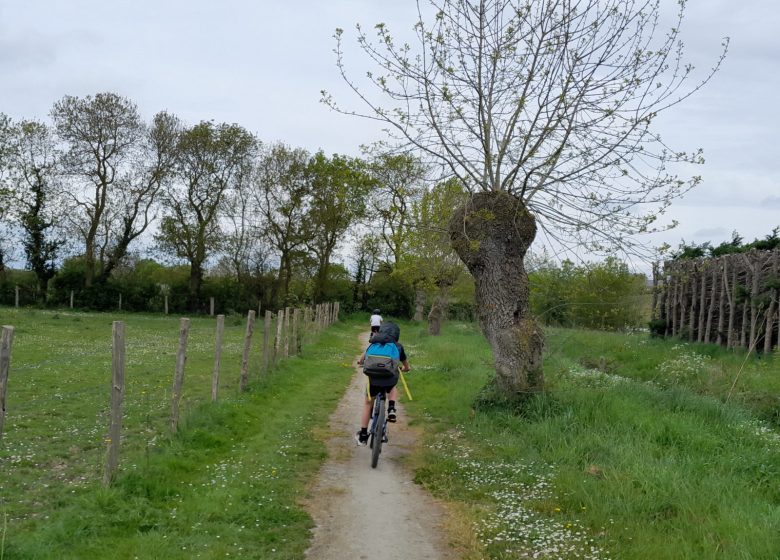 Balade touristique guidée à vélo à Montjean-sur-Loire