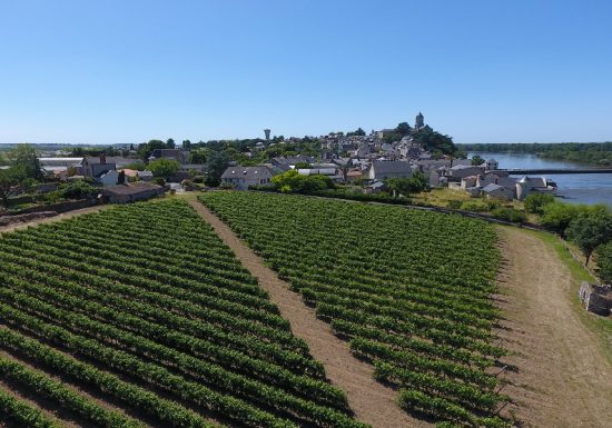 Clos de vigne de La Pierre à Fourneau