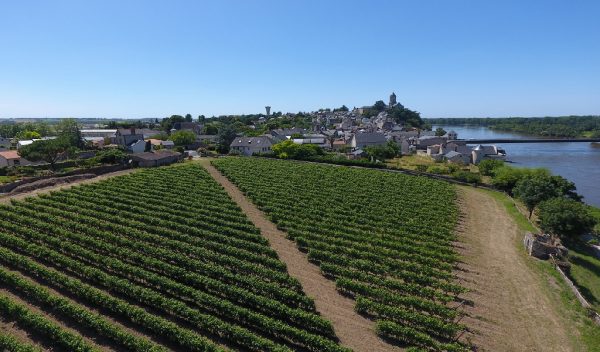Clos de vignes "La Pierre à Fourneau"