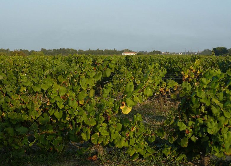 DOMAINE DE LA PAPINIERE