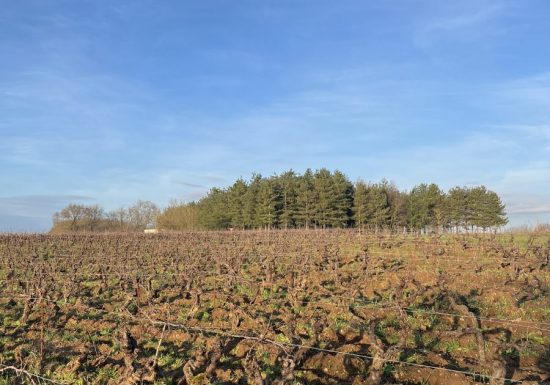 Domaine de l&rsquo;Alliance