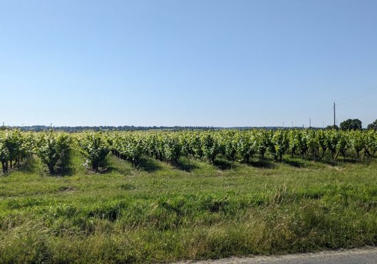 Domaine de Beauregard