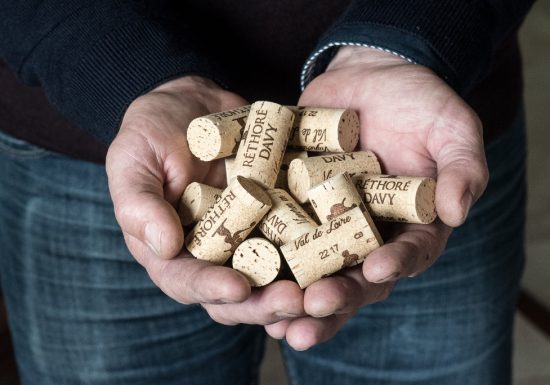 Vignoble Réthoré Davy