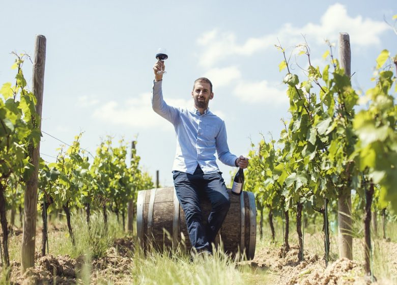 Vignoble Vacy