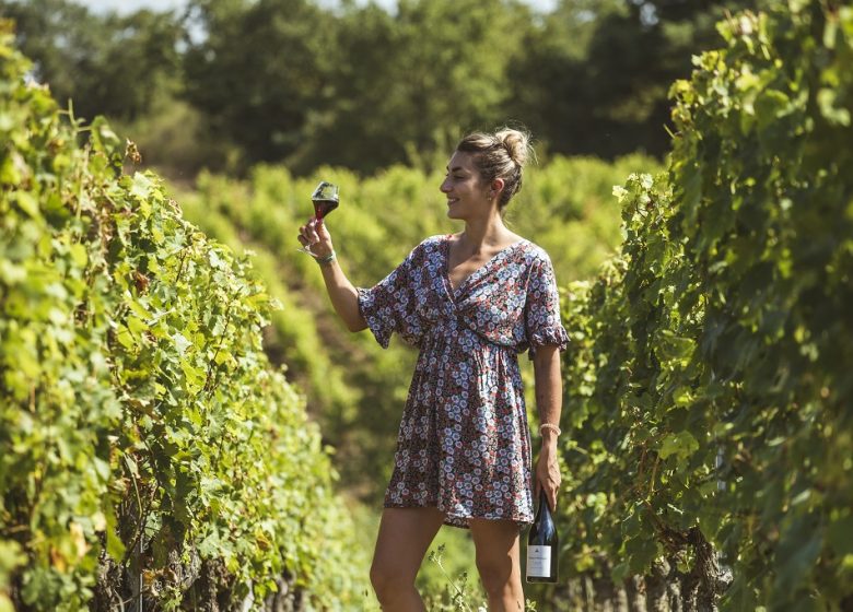 Vignoble Vacy