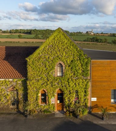 Les Vignes de l’Alma