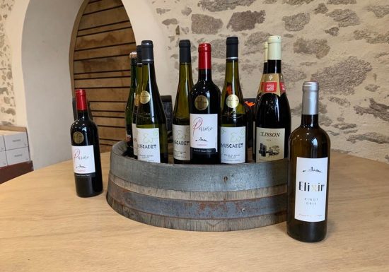 Portes ouvertes au domaine de la Colline – Vincent et Damien Papin