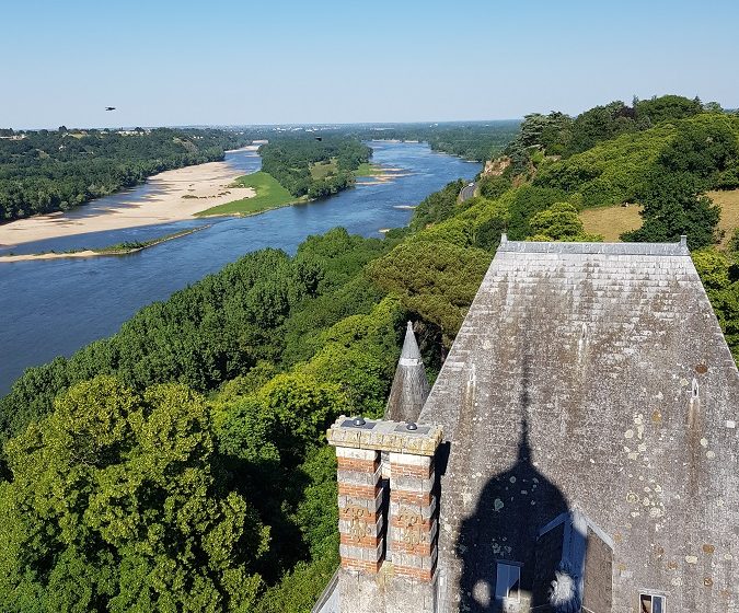 VISITE GUIDÉE DU PARC DU CHÂTEAU DE LA COLINIÈRE, SUR LES TRACES DE CHATEAUCEAUX