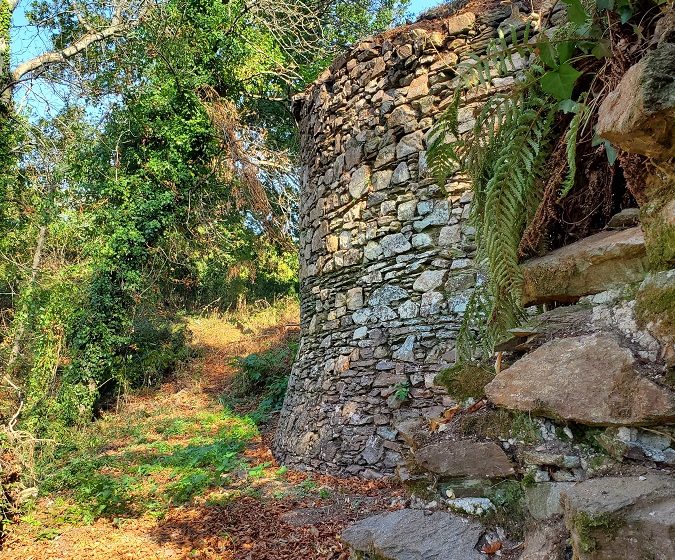 VISITE GUIDÉE DU PARC DU CHÂTEAU DE LA COLINIÈRE, SUR LES TRACES DE CHATEAUCEAUX