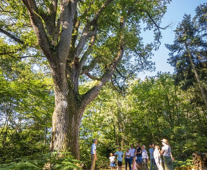 Balade Historique et Gourmande à Sainte-Christine