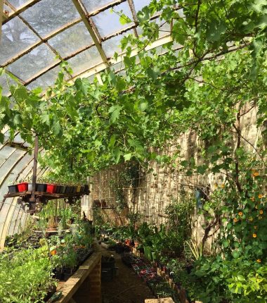 Les Jardins de la Houssaye