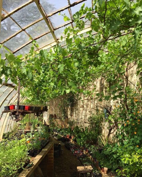 LES JARDINS DE LA HOUSSAYE