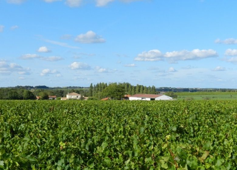 Domaine de l&rsquo;Espérance