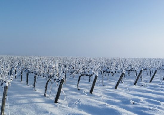Domaine de l&rsquo;Espérance