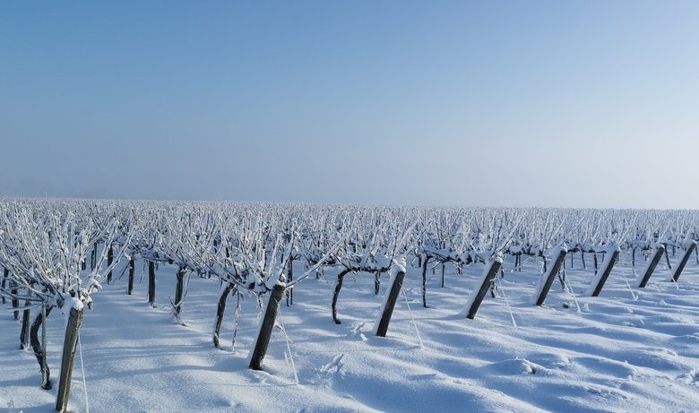 Domaine de l&rsquo;Espérance
