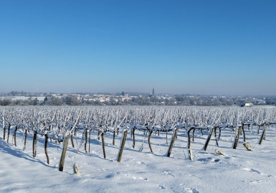 Domaine de l&rsquo;Espérance