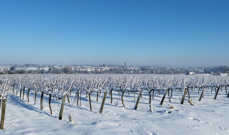 Domaine de l&rsquo;Espérance