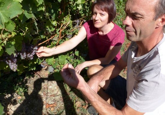 Domaine de l&rsquo;Espérance