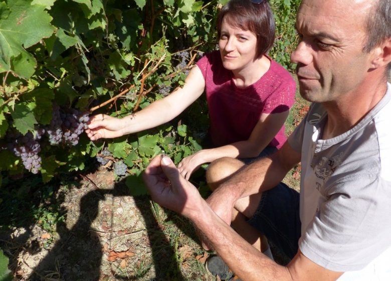 Domaine de l&rsquo;Espérance