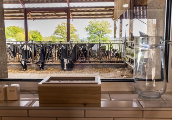 Gîte Laiterie – Vers Lait Gîte