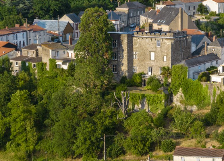 Château et ville fortifiée de Foulques Nerra