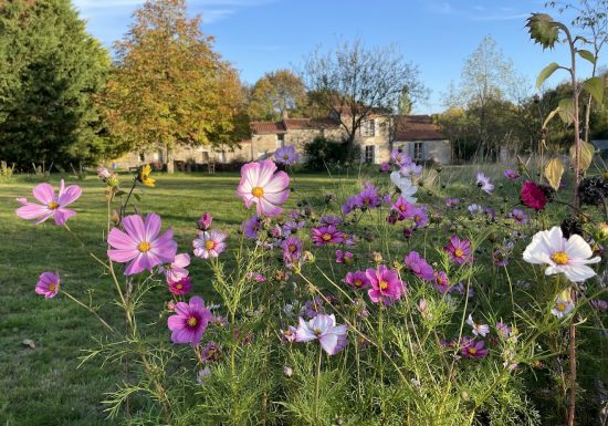 Chambre d&rsquo;hôtes « Un brin nature »