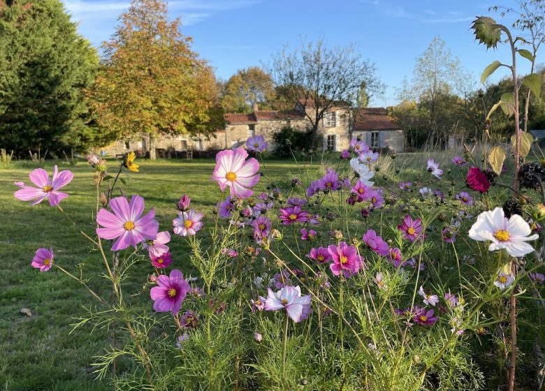 Chambre d&rsquo;hôtes « Un brin nature »