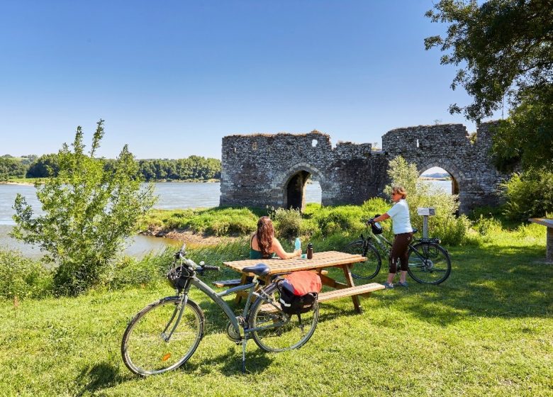 Location de vélos à l&rsquo;Office de Tourisme de Champtoceaux